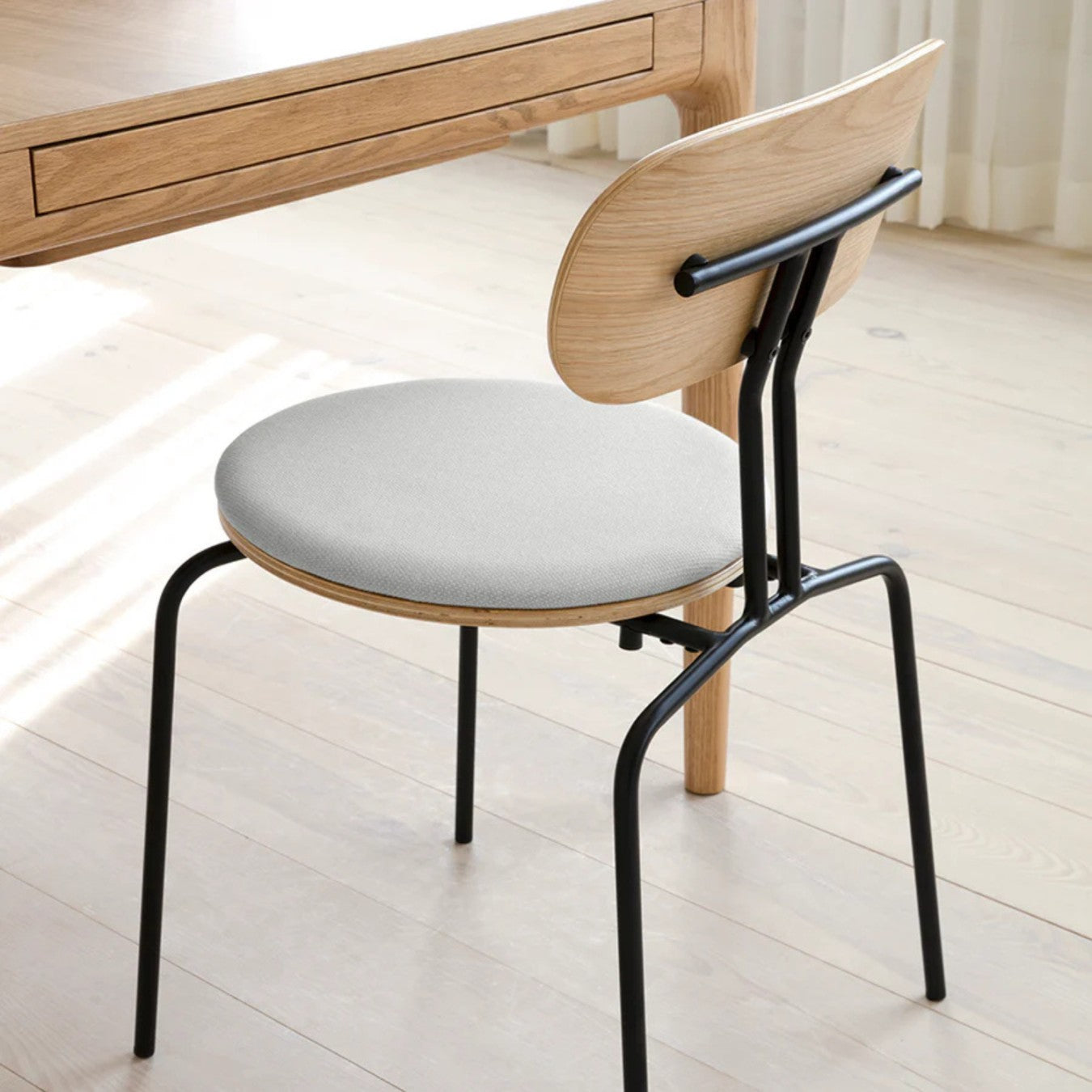 CURIOUS - Dining Chair