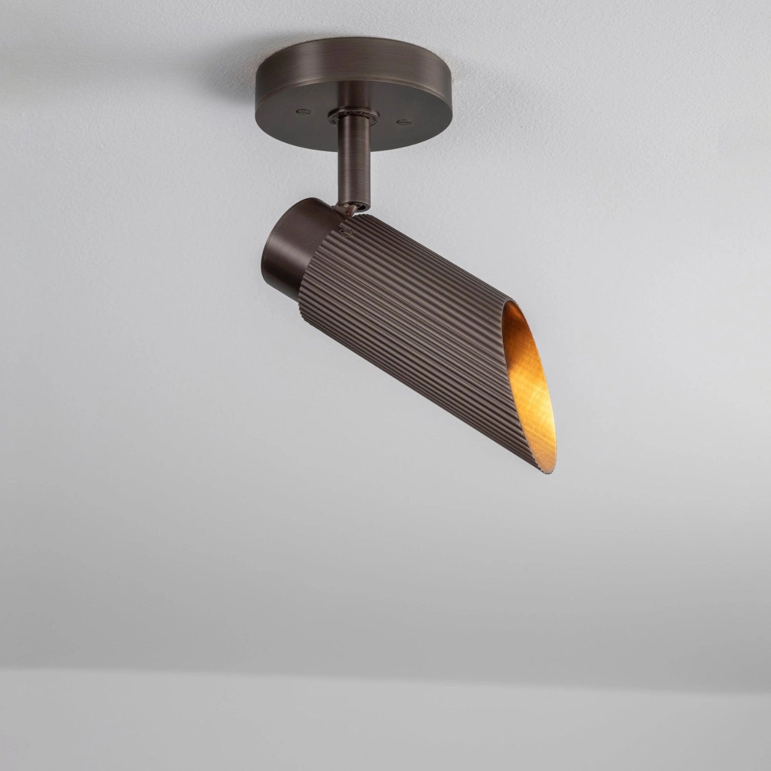 SPOT PRO - Ceiling Light
