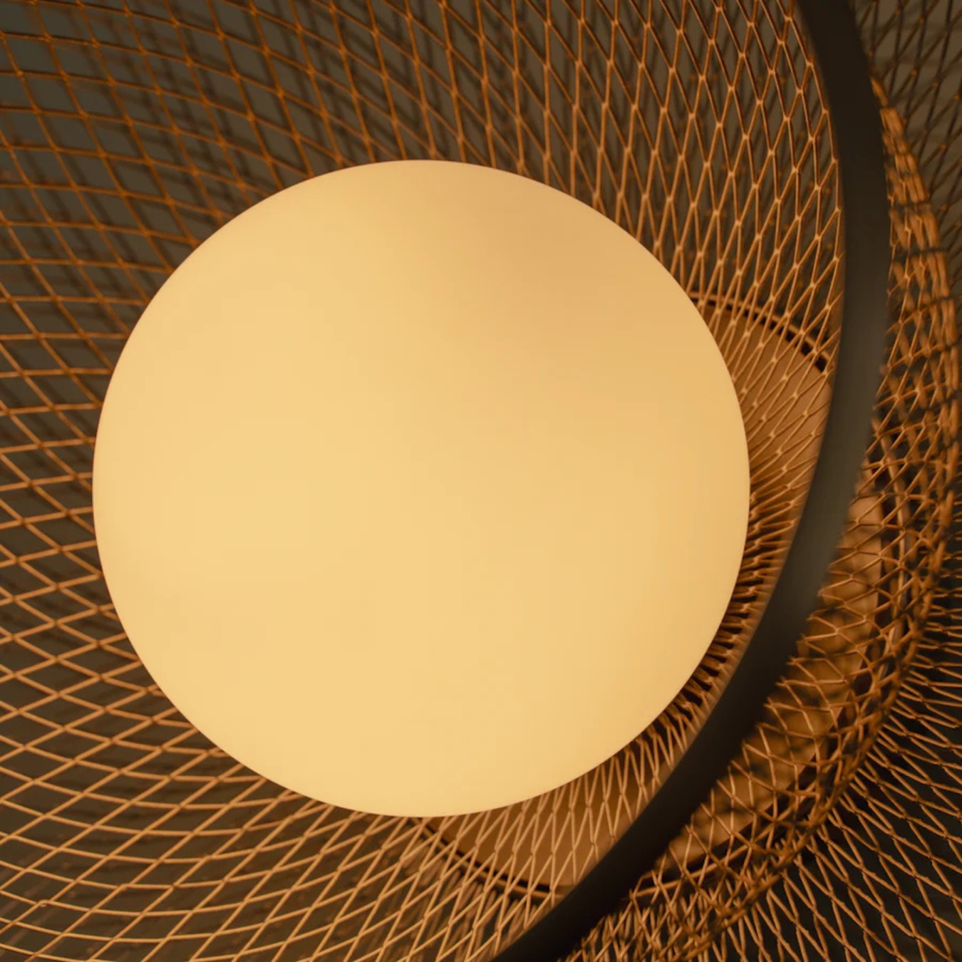 FARADAY UP - Ceiling/Wall Lamp