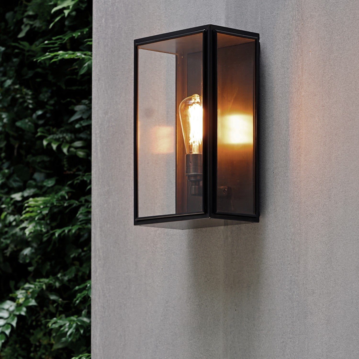 BIRCH MEDIUM - Wall Light