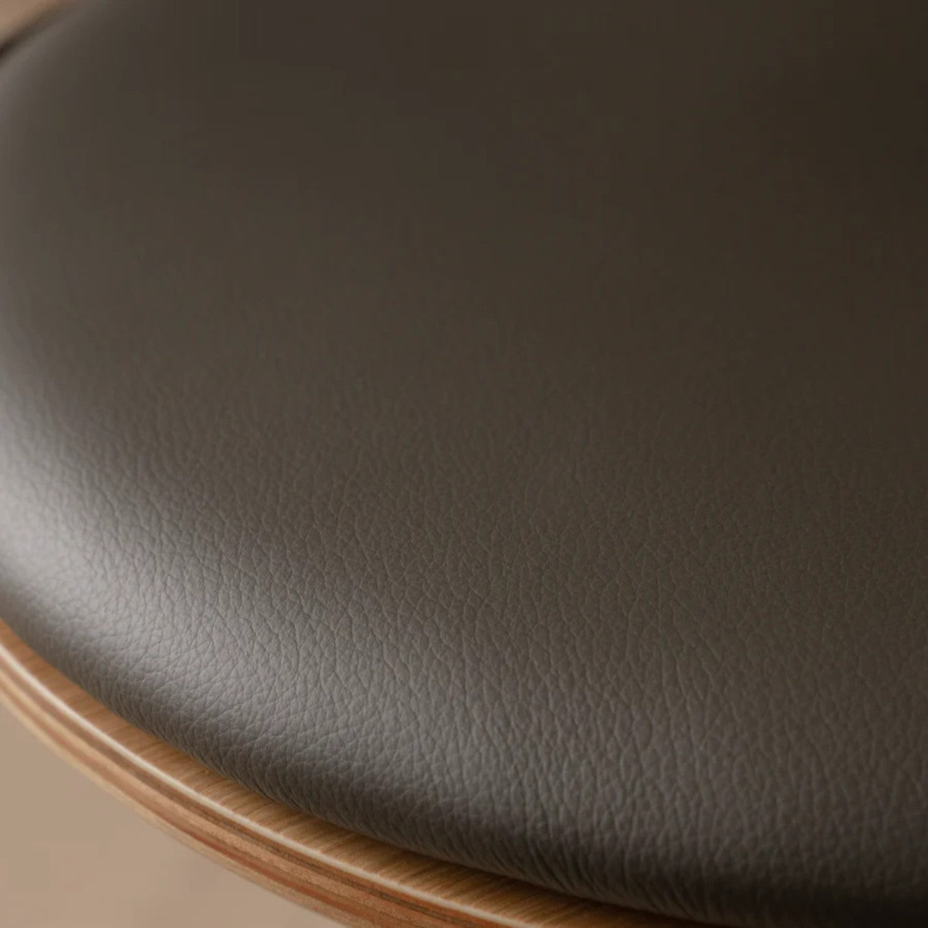 CURIOUS - Dining Chair