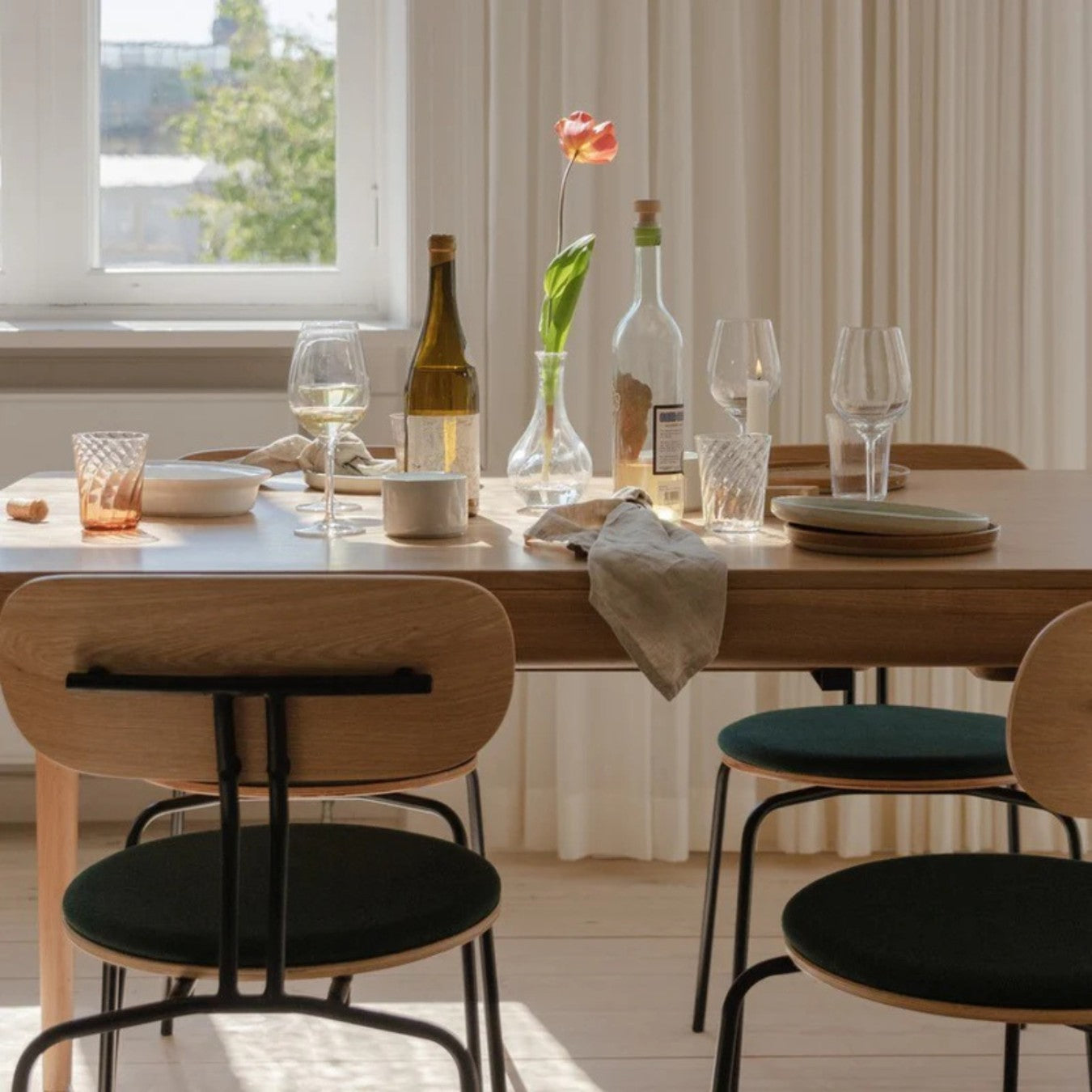 CURIOUS - Dining Chair