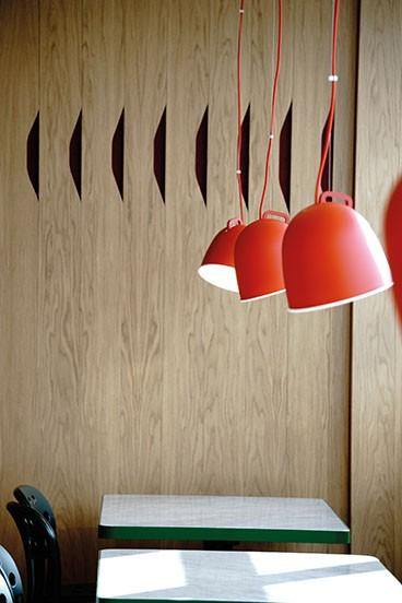 SCOUT S22 - Pendant Light - Luminesy